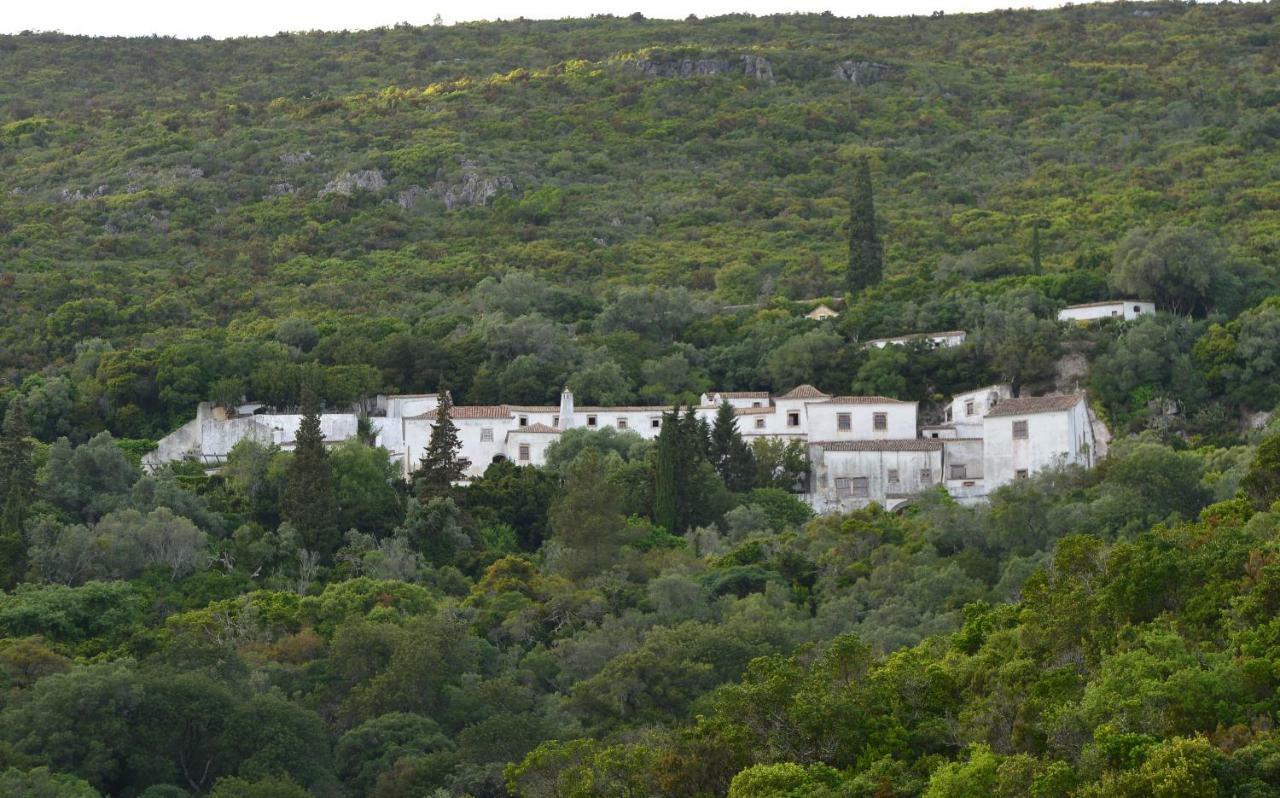 Vila Fresca Quinta Villa Arrabida المظهر الخارجي الصورة