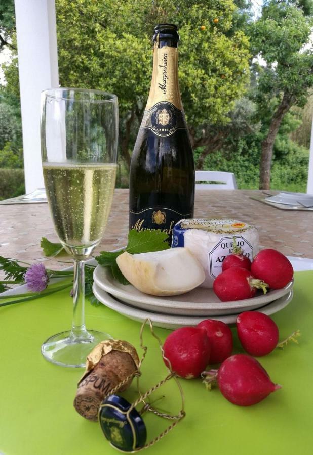 Vila Fresca Quinta Villa Arrabida المظهر الخارجي الصورة